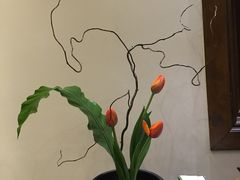 -白鹭原茶艺馆