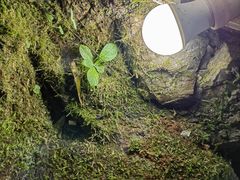 -陶祖圣境风景区