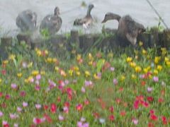 android_upload_pic-上海怡沁园度假酒店