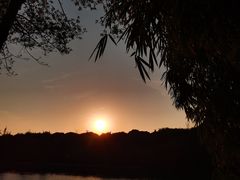 -时光花园(白鹭洲店)