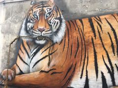 -槟城街头艺术街区