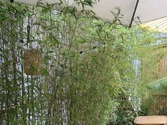 -贰醒·私房小院烧烤 (太古里店)