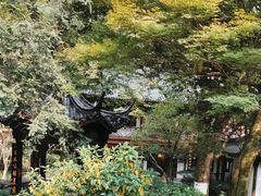 -十八棵（老龙井）御茶园(老龙井店)