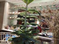 -重庆解放碑帝晶酒店·姜厨房西餐厅