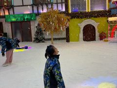 -世界之窗阿尔卑斯冰雪世界