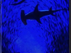 -老昆明网红小吃城(景星恒隆百货店)