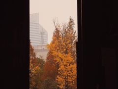 -宁波美术馆