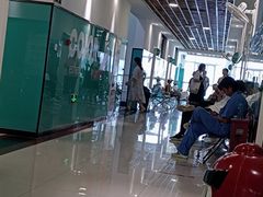 -陕西省小天鹅艺术团