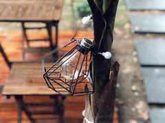 -肥朵食堂(带梦胡同店)