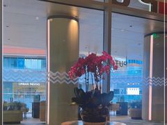 -莆田餐厅PUTIEN(西安万象天地店)