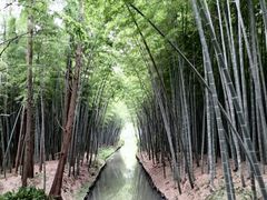 -同里国家湿地公园