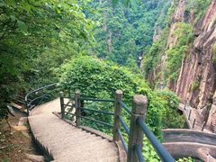 -天台山琼台仙谷景区