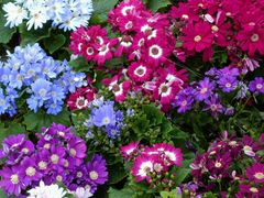 -重庆动物园·东二门售票处