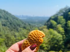 -韬光茶庵