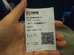 -武汉华夏国际影城(鲁广店)