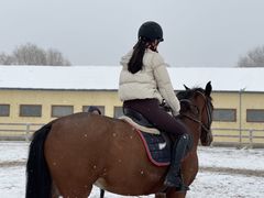 -北京群众马术培训基地