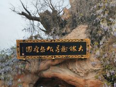 -大槐树寻根祭祖园