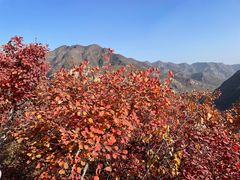 -周口店坡峰岭风景区