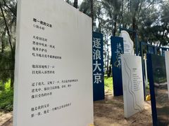 -大京沙滩