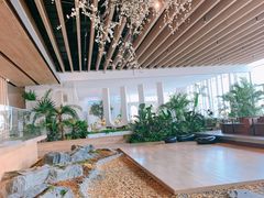 -Seesaw Coffee(朝阳大悦城店)