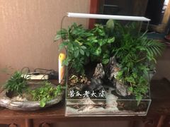 -莱蔻·圣灸堂·推拿艾灸(天山店)