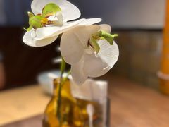 -来龙里 精致 东南亚餐室(万象城店)
