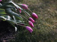 -无锡新湖铂尔曼大酒店