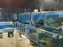 -小土豆美食(太原南街店)