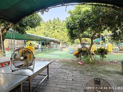 -小蜜蜂团建自助烧烤场(小洲村店)