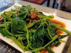 燙青菜-台湾小竹(华宇广场店)
