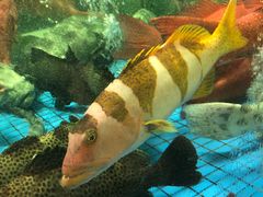 -聚福宝合苑食府(南头镇店)