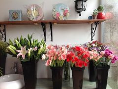 鲜花-田园花舍花店(北城未来实体店)