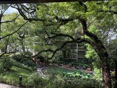 -香港大学