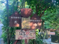-兴隆隆苑咖啡庄园