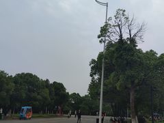 -艾溪湖湿地公园