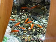 -清真京华源·涮肉烧烤(丰庆店)