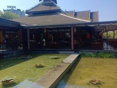 -西双版纳洲际度假酒店兰吧