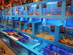 -老六海鲜城