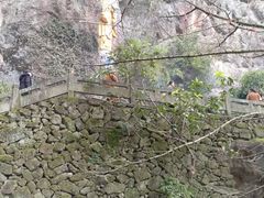 -大慈岩风景区