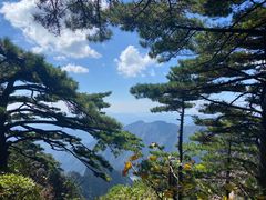 -黄山风景区