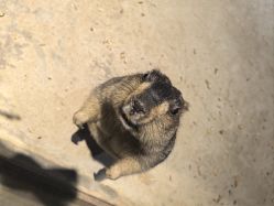 -酷嗒动物文化乐园(cutezoo西溪乐天城店)