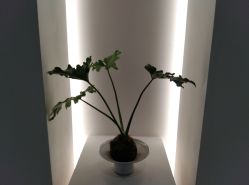 -颜蕾医美·黄金微针·水光·玻尿酸·超声炮·抗衰中心