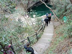 -宁波五龙潭景区