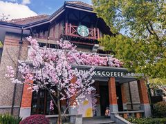 -星巴克臻选(思南公馆店)