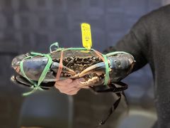 -Ministry of Crab•MOC(交子大道店)