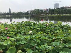 -西海子公园