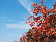 -汉长安城未央宫国家考古遗址公园