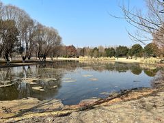 -长广溪湿地公园