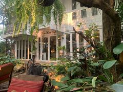 -Fern Forest Cafe