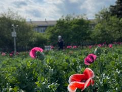 -国家植物园南园